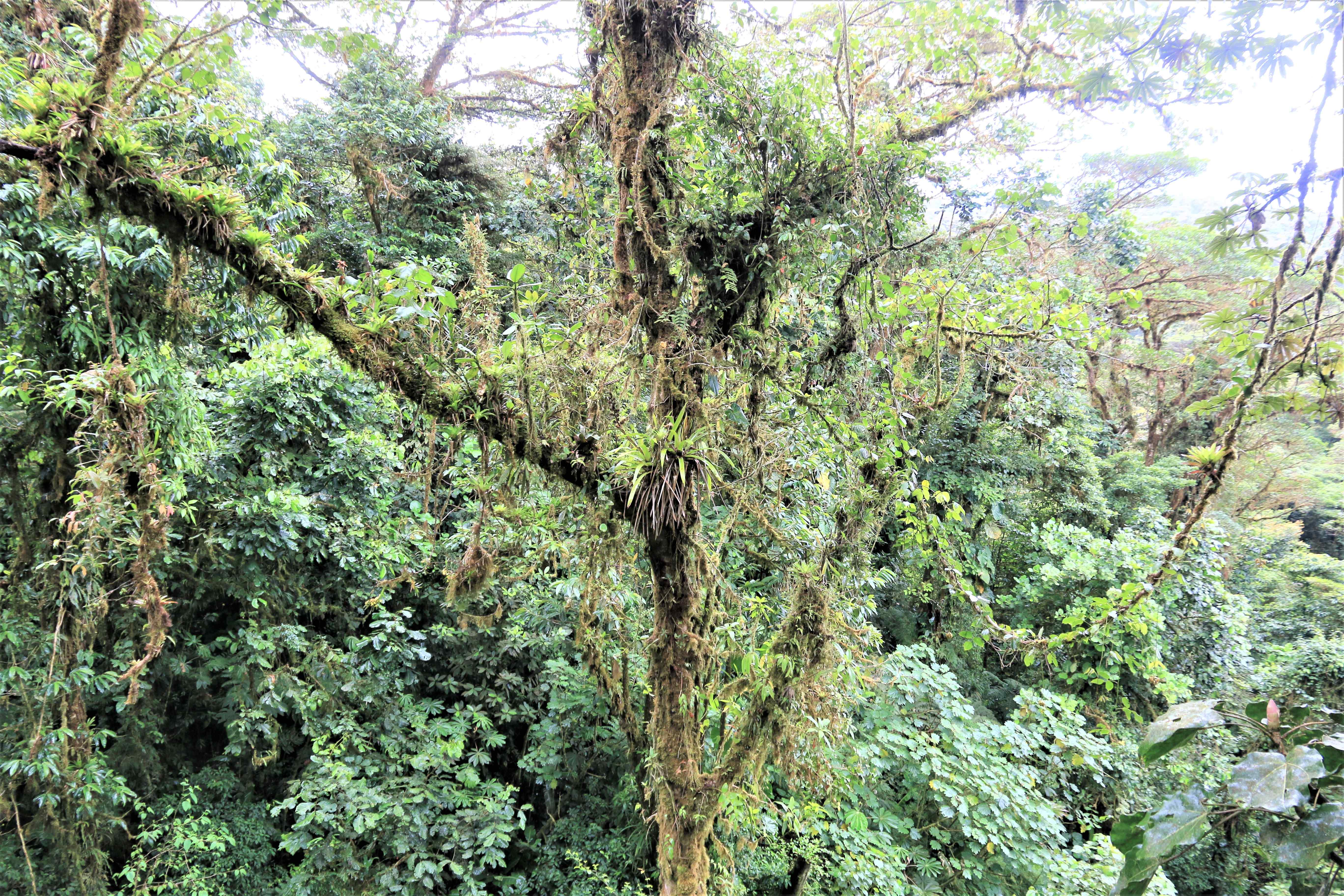 Costa Rica